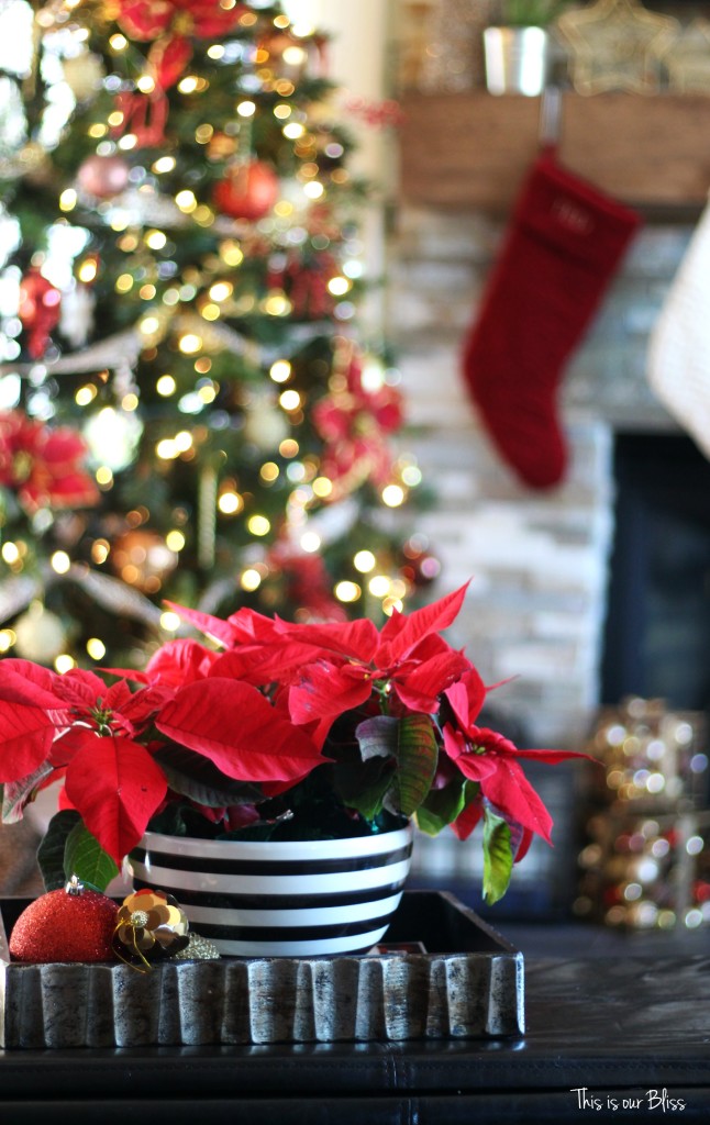 merry bright and blissful holiday home - family room - christmas tree - striped bowl with poinsettia - thisisourbliss.com