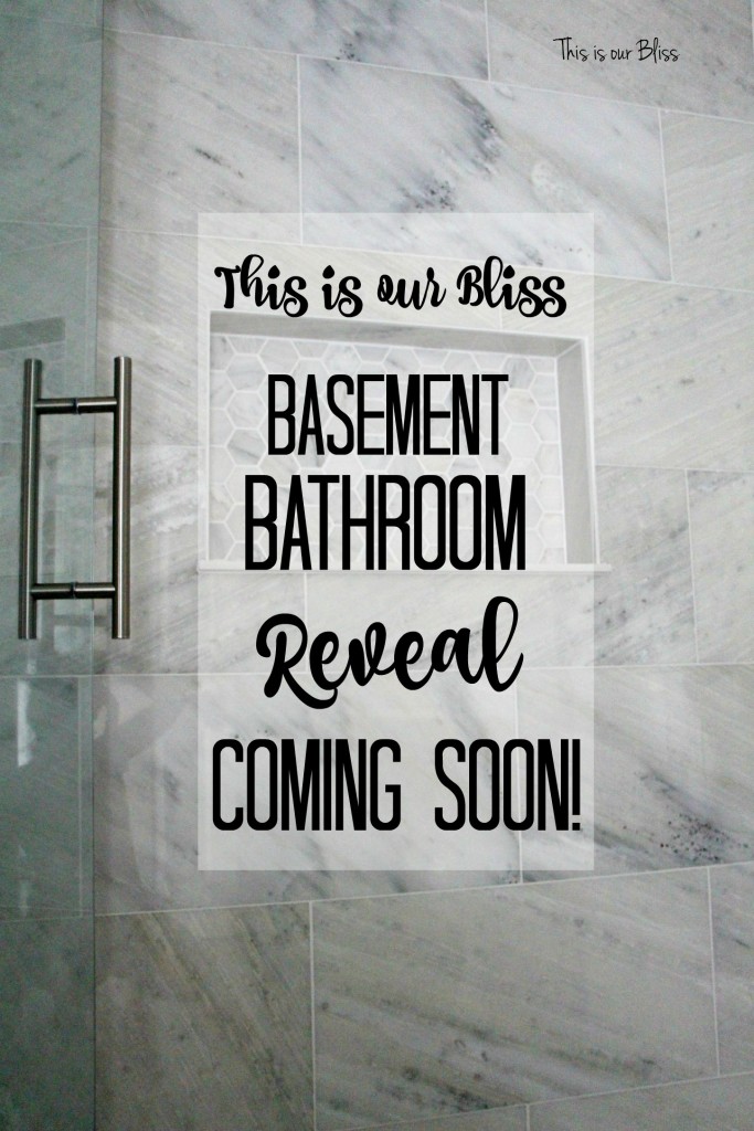 TIOB basement project - basement bathroom - marble tile & marble hexagon niche - reveal coming soon - This is our Bliss