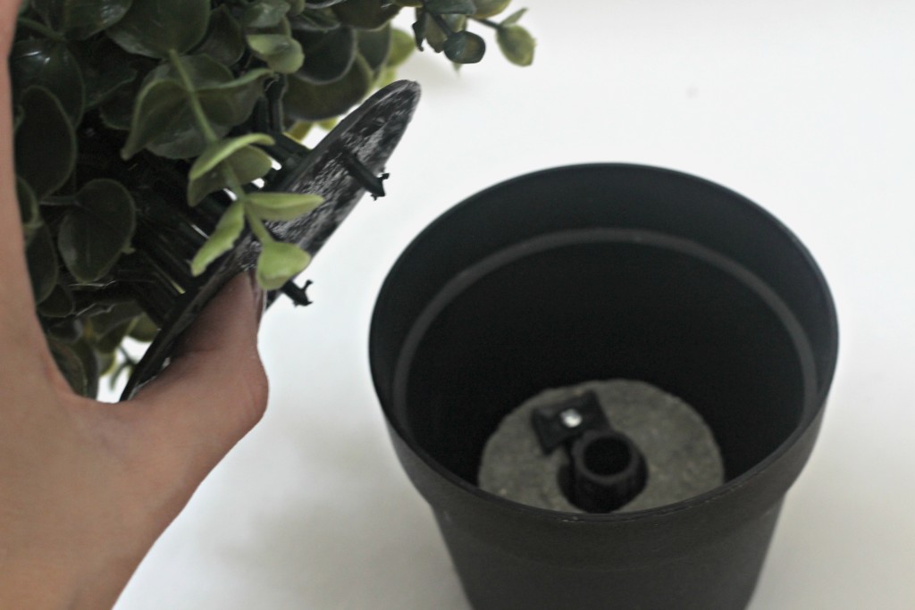 how-to-remove-plant-from-pot-this-is-our-bliss