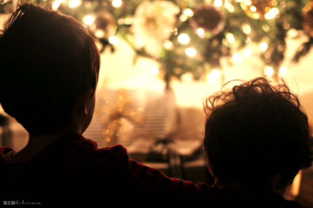 boys-in-front-of-the-tree