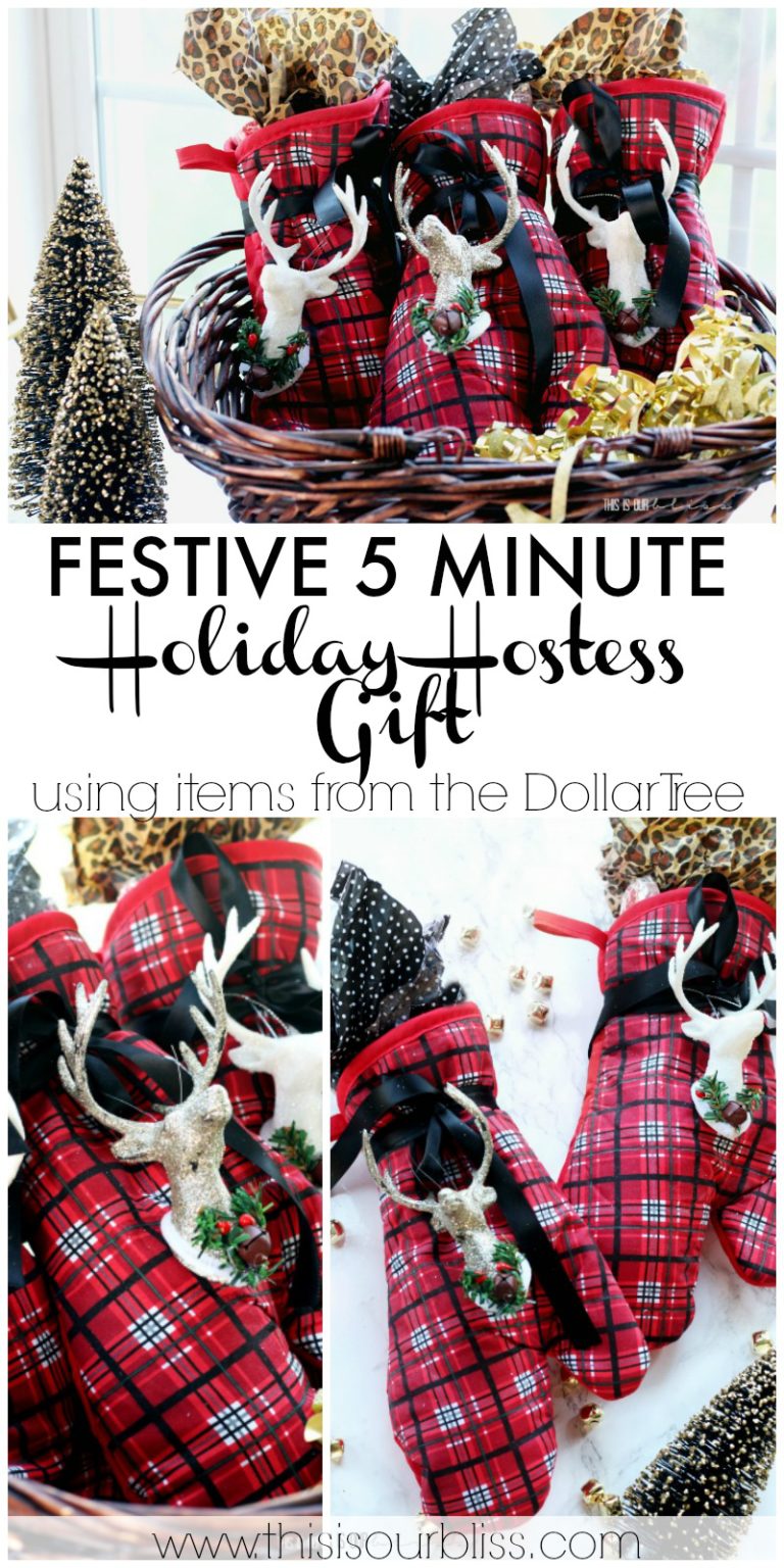 5 Minute Holiday Hostess Gift - My Dollar Store DIY | This is our Bliss