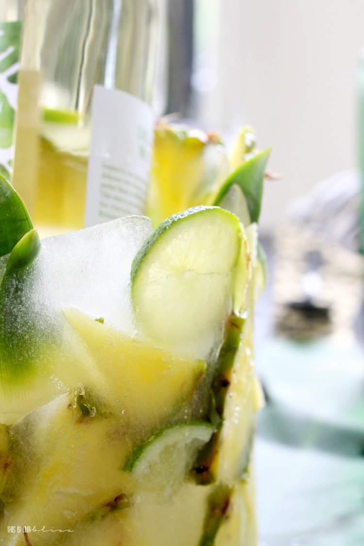 https://www.thisisourbliss.com/wp-content/uploads/2018/06/DIY-Tropical-Fruit-Ice-Mold-Wine-Chiller-Pineapple-Lime-and-Basil-wine-chiller-Mold-Summer-Entertaining-ideas-This-is-our-Bliss.jpg