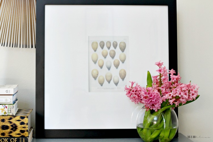 Adorable Speckled Eggs Free Printable for Spring - Spring decorating ideas with Easter Egg art print - This is our Bliss