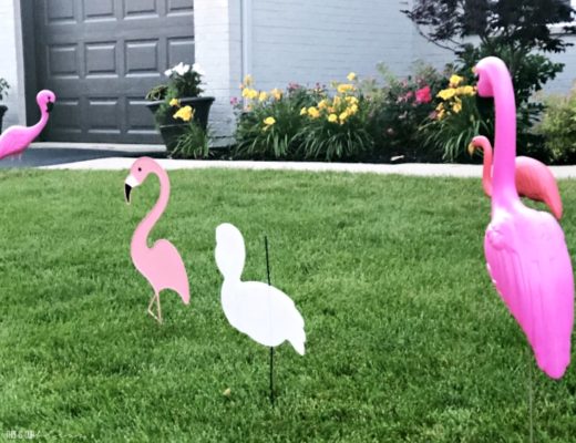 Summer Flamingo Party - This is our Bliss