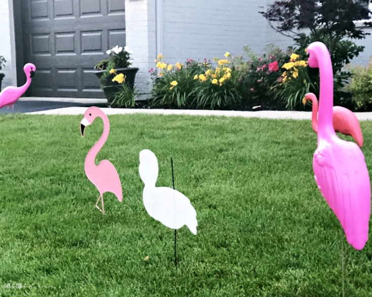 Summer Flamingo Party - This is our Bliss