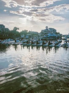 Sunset dolphin cruise on Hilton Head Island - our Hilton Head vacation recap - This is our Bliss