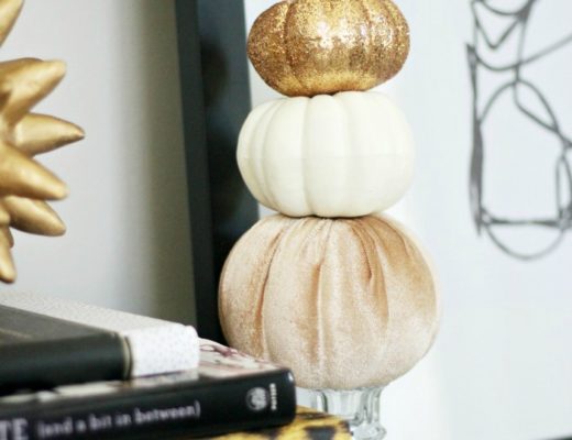 feat DIY Dollar Store Mini Pumpkin Topiary - This is our Bliss