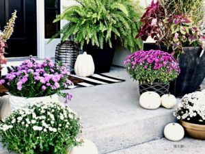 Fall Front porch with mums planters lanterns white pumpkins - easy ways to decorate your porch this Fall season - This is our Bliss