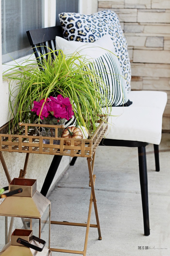 Fall front porch with pumpkins leopard pillow on bench ...