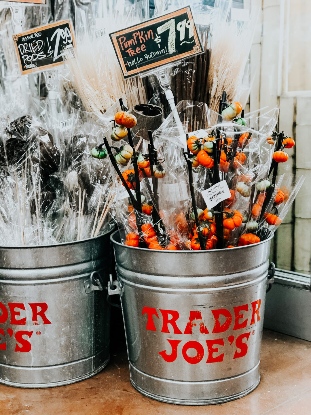The Best Trader Joe's Fall Items This is our Bliss