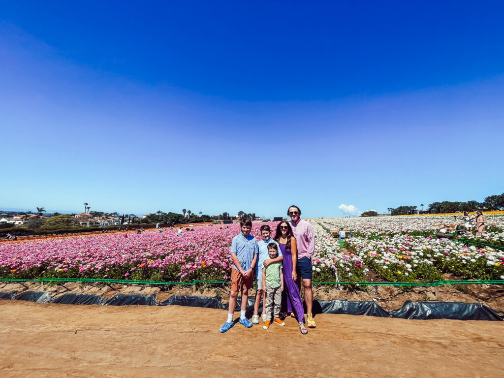 Family vacation to Carlsbad, California - This is our Bliss - The Cassara Carlsbad - the Flower Fields 