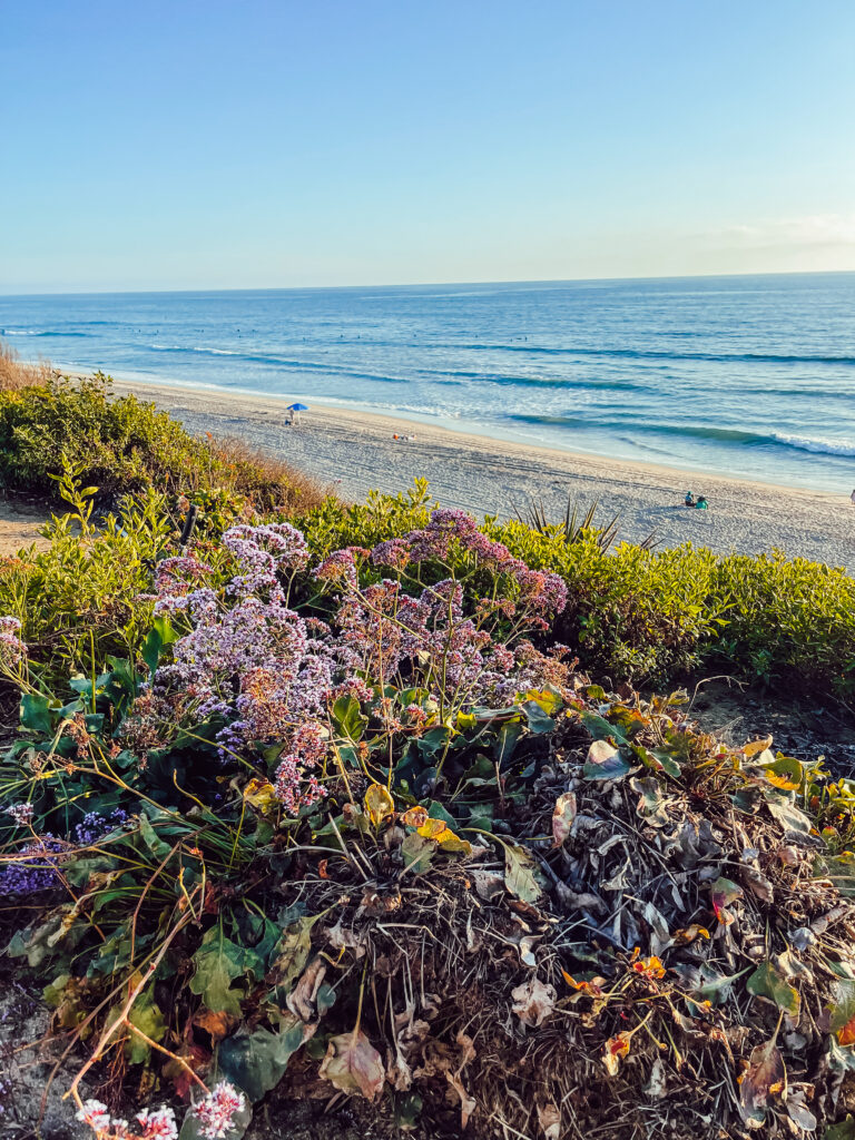 Family vacation to Carlsbad, California - This is our Bliss - The Cassara Carlsbad - Carlsbad State Beach