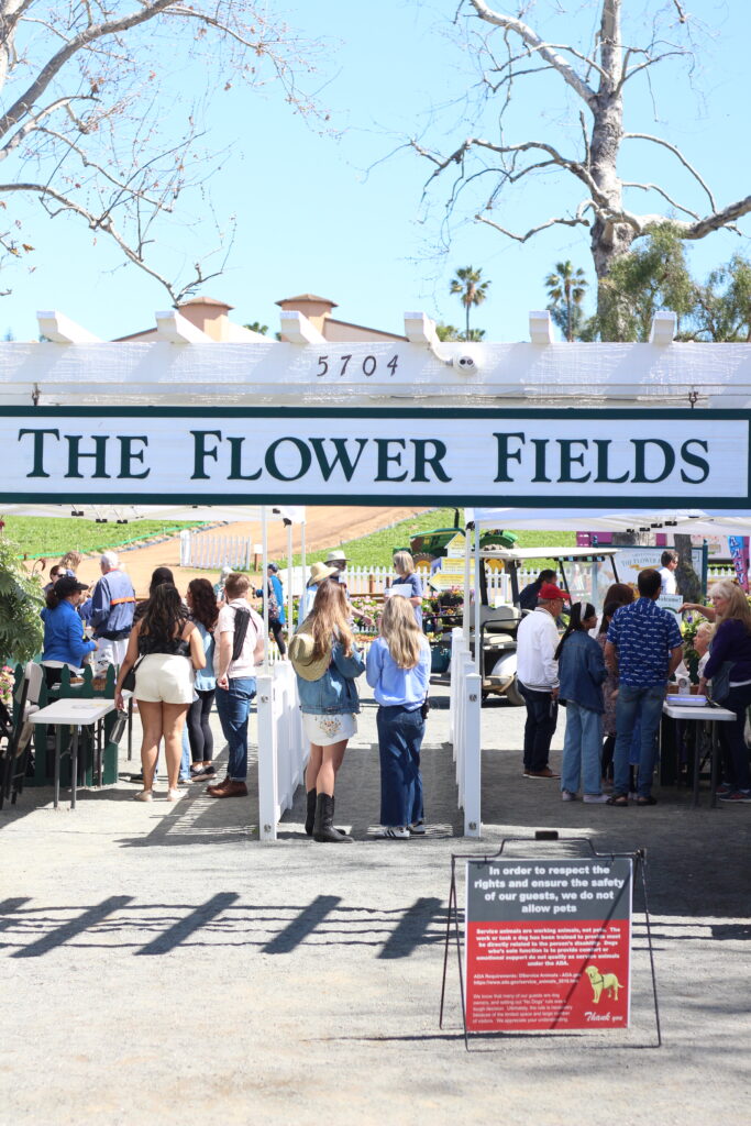 Family vacation to Carlsbad, California - This is our Bliss - The Cassara Carlsbad - the Flower Fields