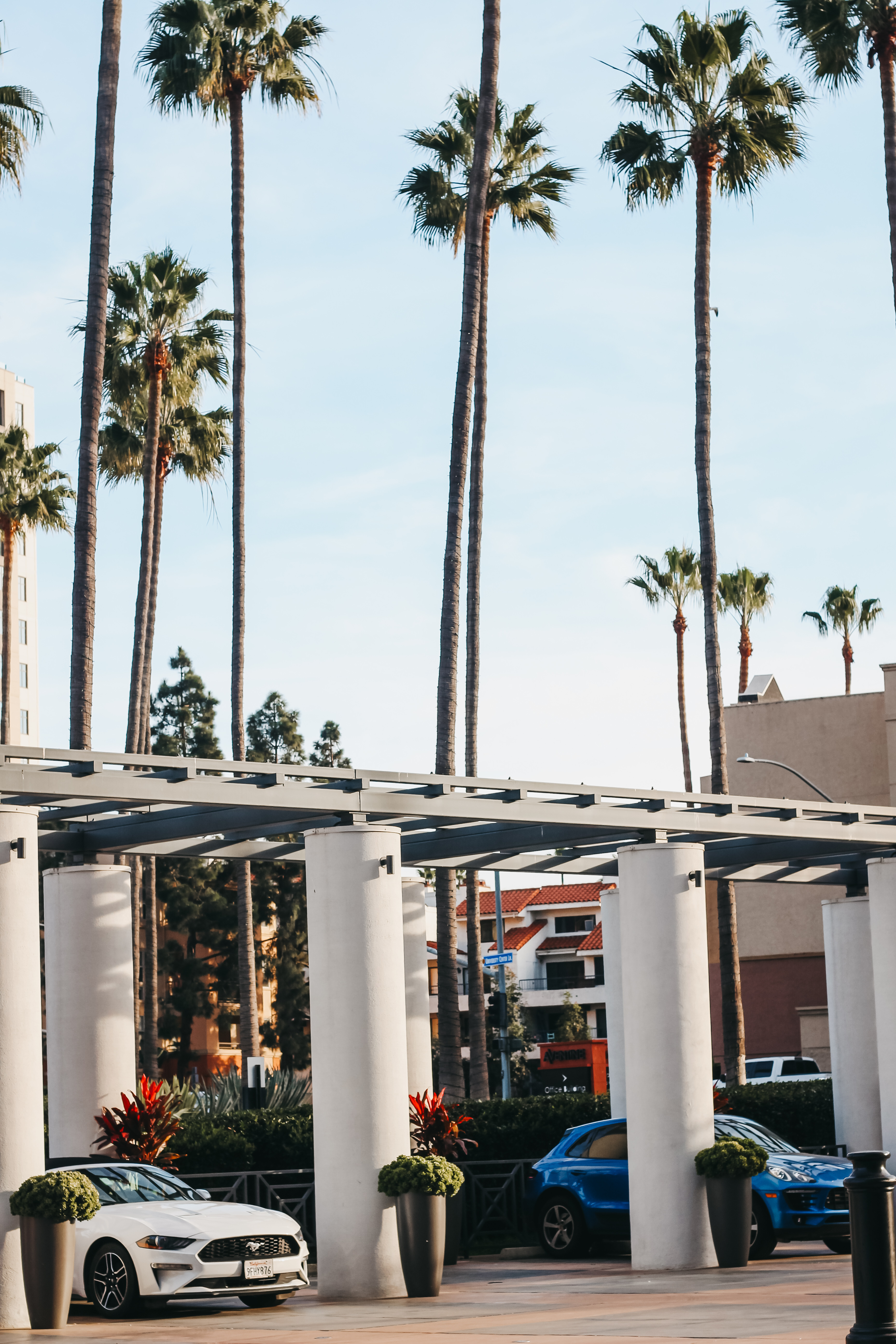 hyatt regency la jolla at aventine grounds - This is our Bliss