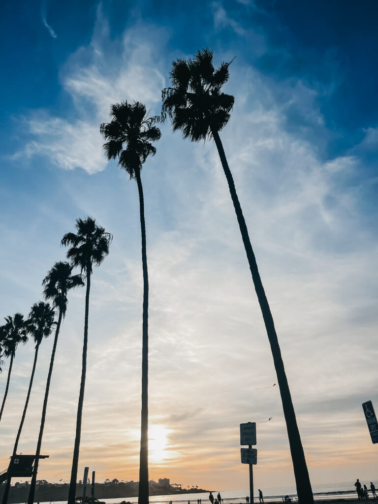 sunset at La jolla shore beach - This is our Bliss