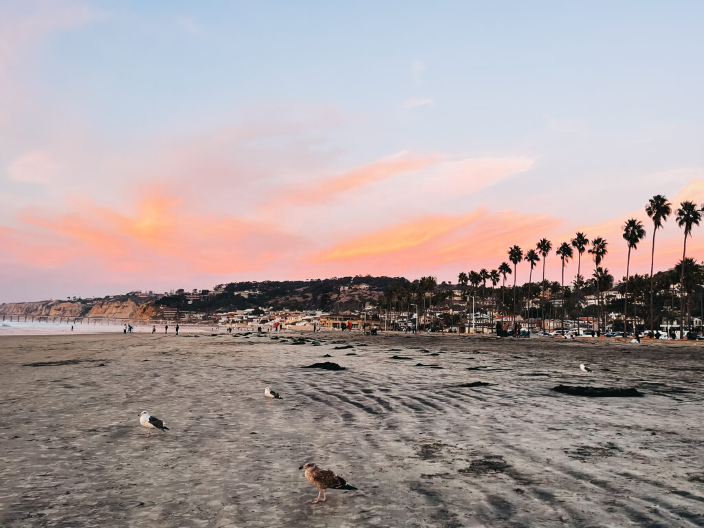 la Jolla Shores Beach - This is our Bliss