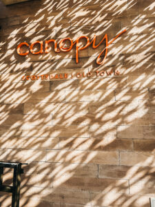 Canopy by Hilton Old Town Scottsdale girls getaway staycation - This is our Bliss