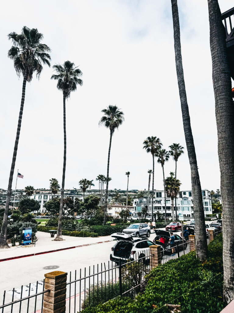 Corner suite at the La Jolla shores hotel - La jolla, ca family beach vacation - This is our Bliss
