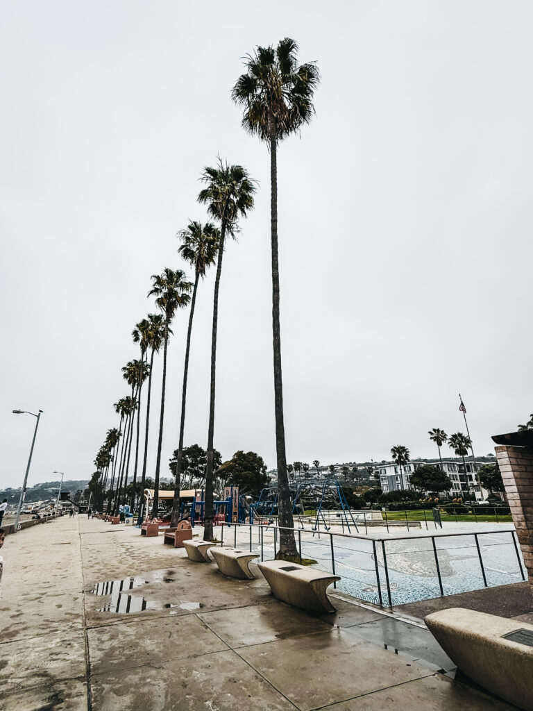 La Jolla shores hotel - La jolla, ca family beach vacation - This is our Bliss