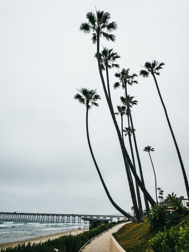 Scripps Pier - the La Jolla shores hotel - La jolla, ca family beach vacation - This is our Bliss