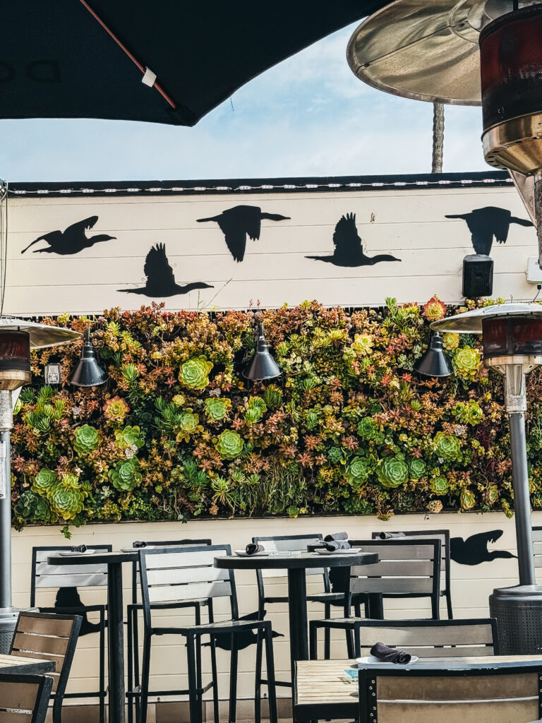 birdseye rooftop bar in La Jolla - This is our Bliss