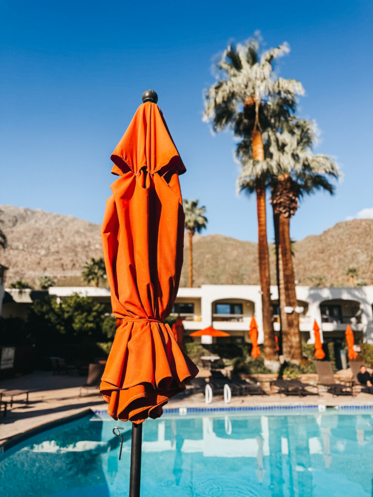 poolside at Palm Mountain Hotel & spa - This is our Bliss
