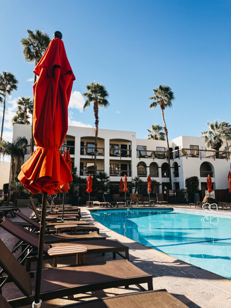 palm springs - This is our Bliss