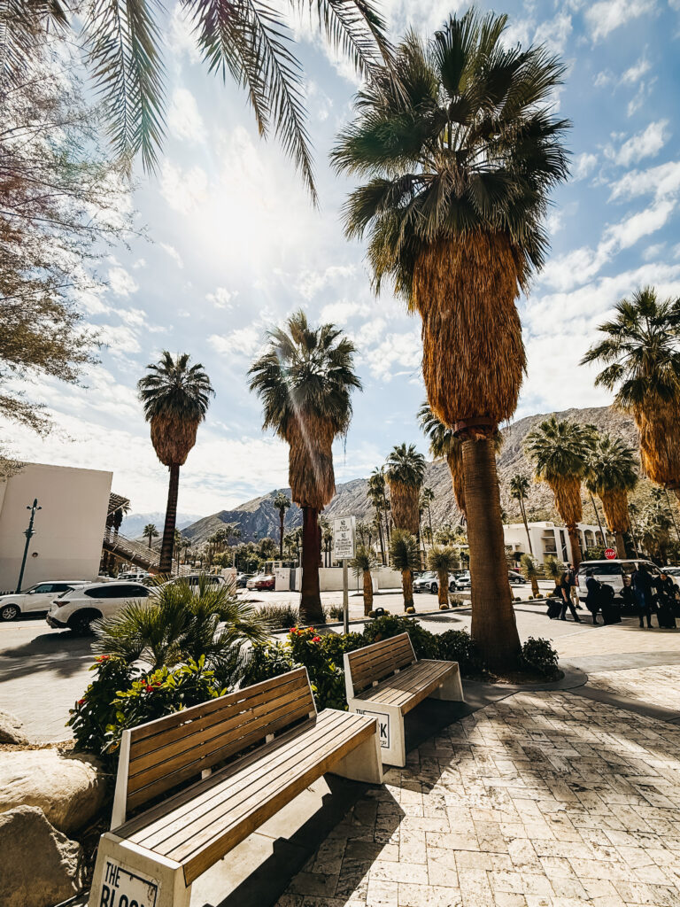 downtown palm springs - This is our Bliss