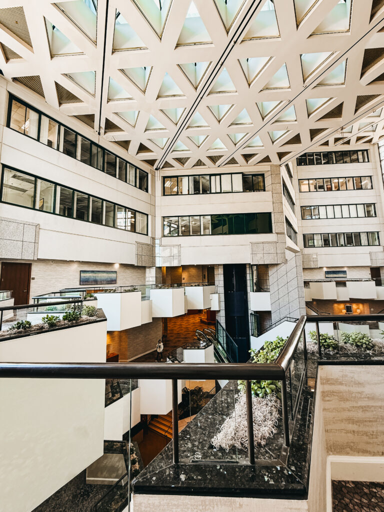 The Westin San Diego Bayview family Spring Break downtown San Diego - This is our Bliss