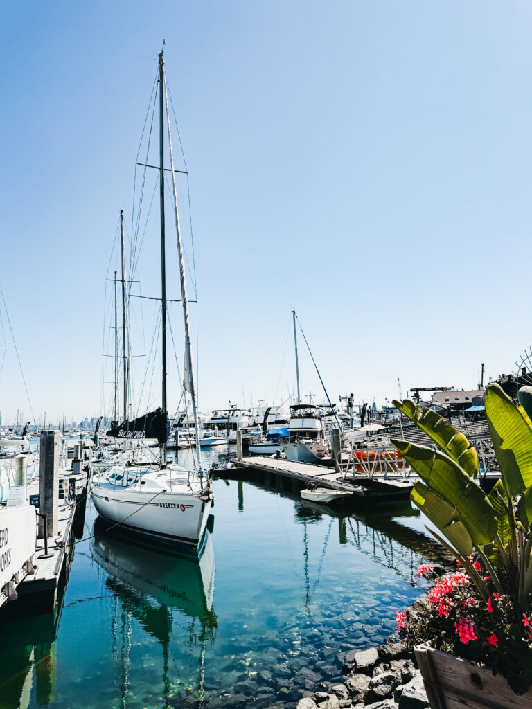 the waterfront - shelter island - San Diego - This is our Bliss