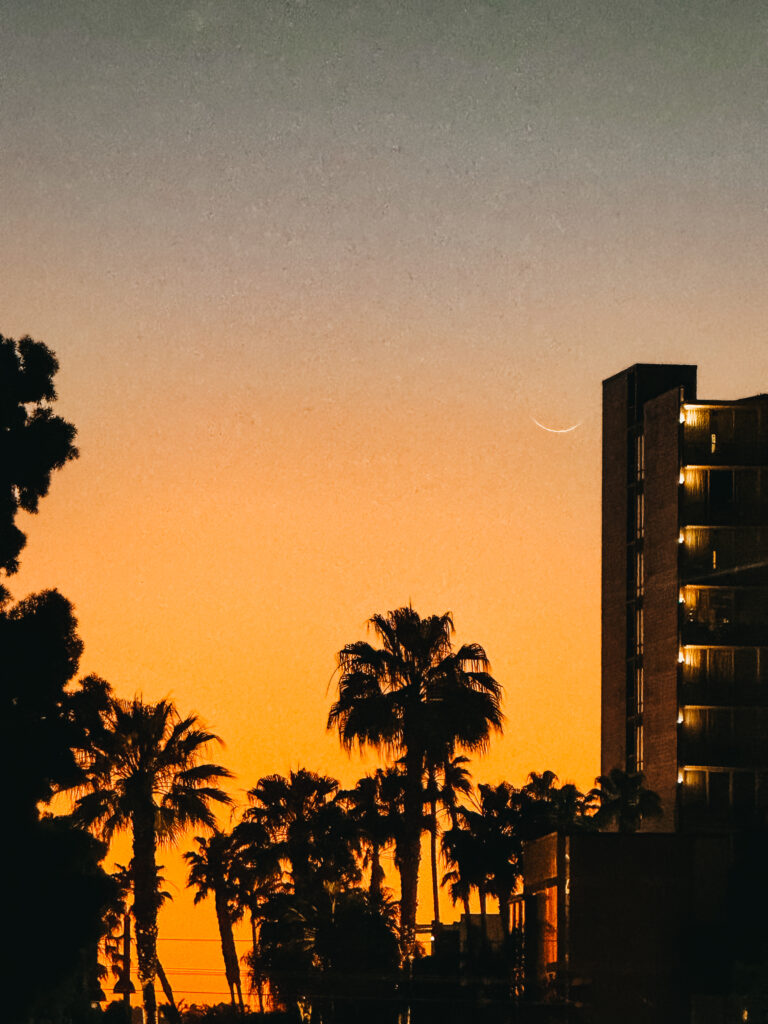 The Westin San Diego Bayview family Spring Break downtown San Diego - This is our Bliss