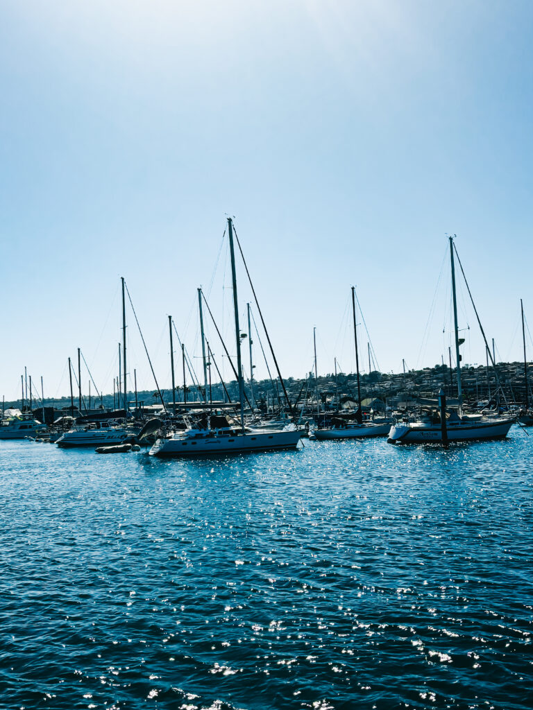the waterfront - shelter island - San Diego - This is our Bliss