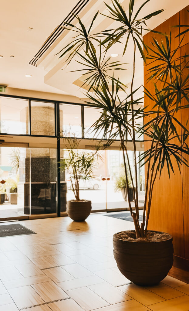 westin San Diego bayview - This is our Bliss