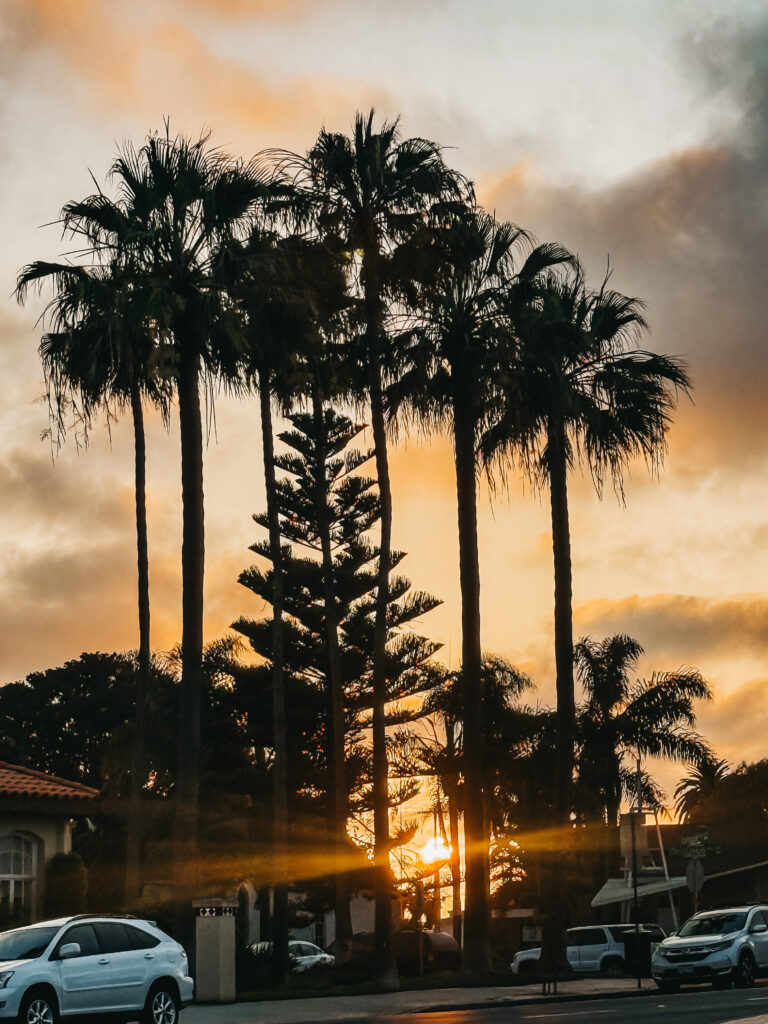 Carlsbad Village - This is our Bliss