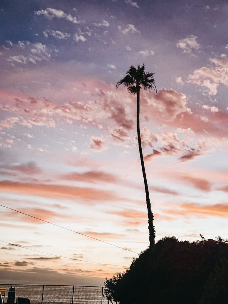 Encinitas - This is our Bliss