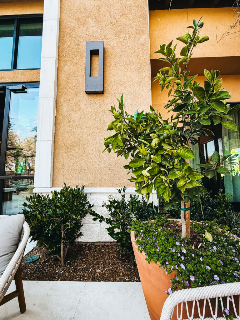 hotel solea and verise restaurant outdoor areas - This is our Bliss #carlsbadhotel #familyresortcarlsbad