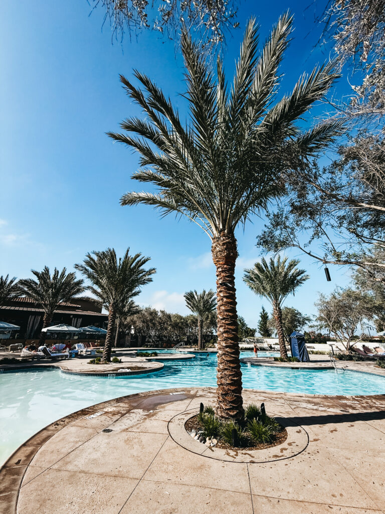 Hotel Solea Carlsbad - This is our Bliss #resortpool #carlsbadhotel