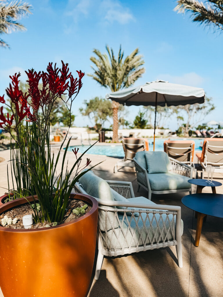 Hotel Solea Carlsbad - This is our Bliss #resortpool #carlsbadhotel